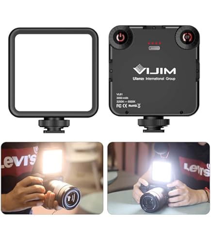 Amazon | LPL ビデオライト ブロムビデオライト 300Wタイプ L2332