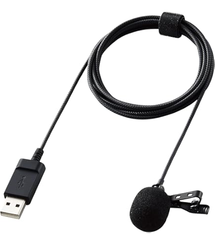 Amazon | Sony ecm322bmpプロフェッショナルヘッドセットマイク