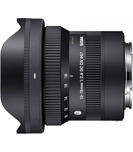 Amazon.co.jp: Tamron SP AF 10-24/3.5-4.5 ｿﾆ- Di II (B001） : 家電