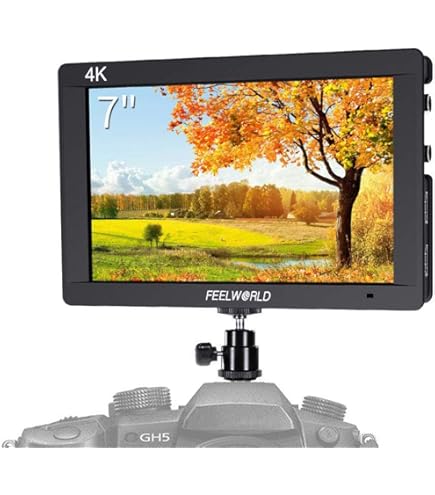 Amazon.co.jp: SONY(ソニー) クリップオンLCDモニター CLM-FHD5 : 家電