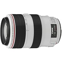 Amazon.co.jp: Canon EFレンズ EF70-300mm F4-5.6L IS USM ズーム