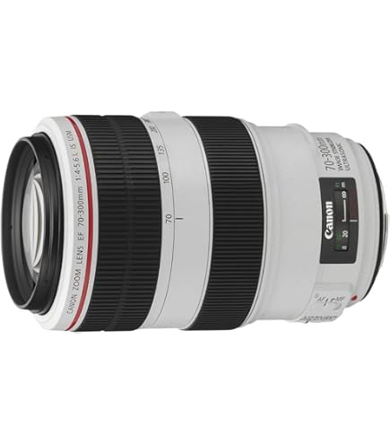 Amazon.co.jp: Canon EF 100-300mm f/4.5-5.6 USM 望遠ズームレンズ