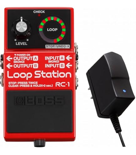 Amazon | ローランド ループ・ステーション RC-30 | ルーパー