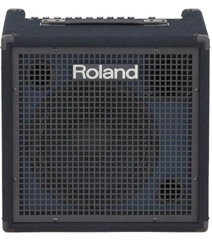 Amazon | Roland ステレオ・キーボード・アンプ KC-110 | キーボード