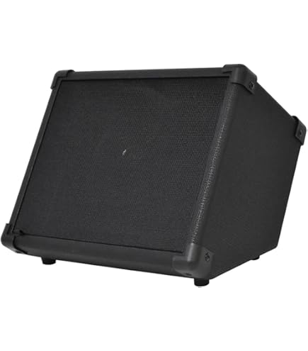 Amazon.co.jp: Laney (レイニー) キーボードアンプ 3チャンネル 5