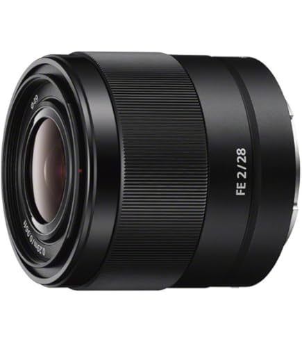 Amazon.co.jp: Sony 55-200mm f/4-5.6 SAM DT望遠ズームレンズ Sony
