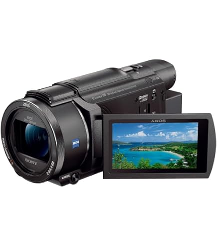 Amazon | Canon デジタルビデオカメラ iVIS HF G20 光学10倍ズーム