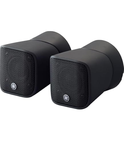 Amazon.co.jp: Bose 111ADW スピーカーシステム ホワイト : 家電＆カメラ