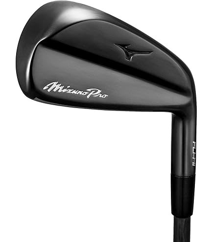 Amazon.co.jp: MIZUNO(ミズノ) MP-FLI-HI ユーティリティ アイアン 2番