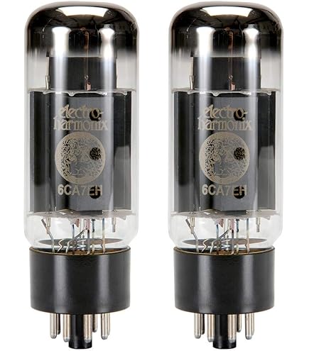 Amazon.co.jp: Svetlana EL34 マッチペア(2チューブ) : 家電＆カメラ