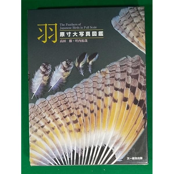 羽: 原寸大写真図鑑 | 高田 勝, 叶内 拓哉 |本 | 通販 | Amazon