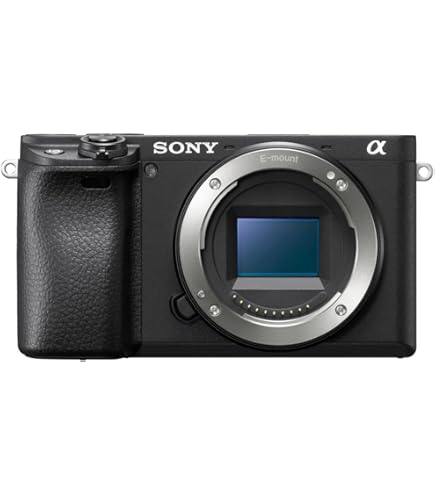 Amazon.co.jp: Sony Alpha NEX-6, NEX-6/B Body Mirrorless Single