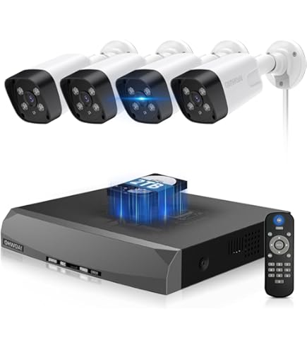 Amazon.co.jp: 【投光威嚇・双方向通話・カラー暗視撮影】OHWOAI POE