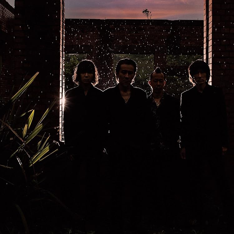 Amazon.co.jp: ヒマワリ / オルゴール(通常盤): ミュージック