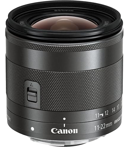 Amazon.co.jp: Canon EF-S 10-18mm f/4.5-5.6 IS STMレンズ : 家電＆カメラ