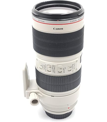 Amazon.co.jp: Canon 単焦点望遠レンズ EF300mm F2.8L IS II USM フル