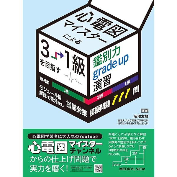 ER心電図の超速診断: 救急現場で初心者から役立つ | J.L.マーティン