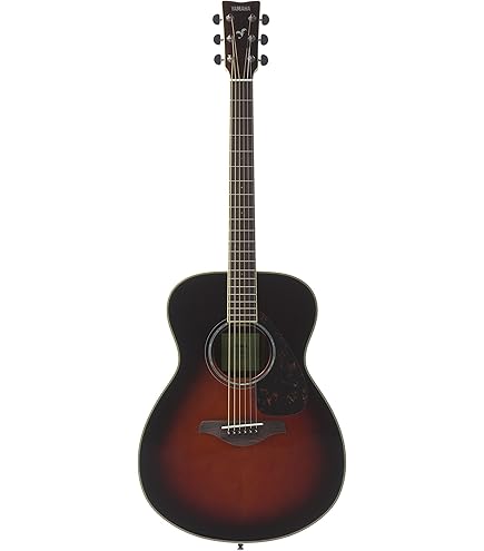 Amazon.co.jp: YAMAHA F-310P TBS 小物セット付き アコースティック