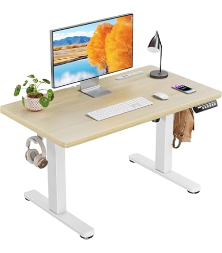 Amazon | BilBil デスク 昇降式 電動昇降式机 100CM×60CM 昇降デスク