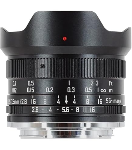 Amazon.co.jp: SIGMA 単焦点魚眼レンズ 10mm F2.8 EX DC FISHEYE HSM