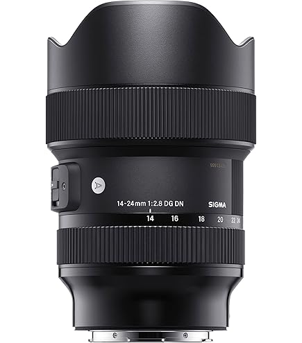 Amazon.co.jp: Tamron SP AF 10-24/3.5-4.5 ｿﾆ- Di II (B001） : 家電