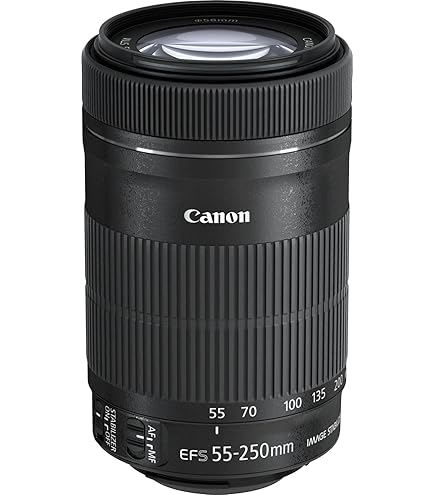 Amazon.co.jp: Canon 広角ズームレンズ EF-S15-85mm F3.5-5.6 IS USM
