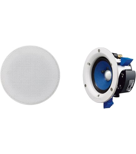 Amazon.co.jp: Bose FreeSpace flush-mount loudspeaker 天井埋め込み