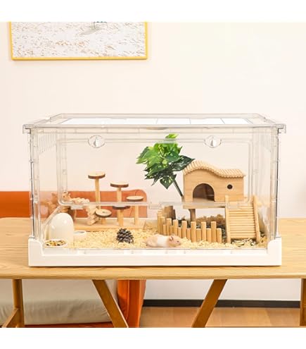 Amazon | GEX ゴールデンハムスター飼育セット グラスハーモニー