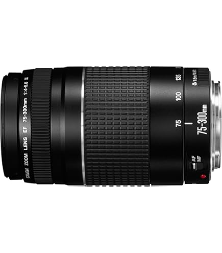 Amazon.co.jp: Canon EF 90-300mm F4.5-5.6 USM : 家電＆カメラ