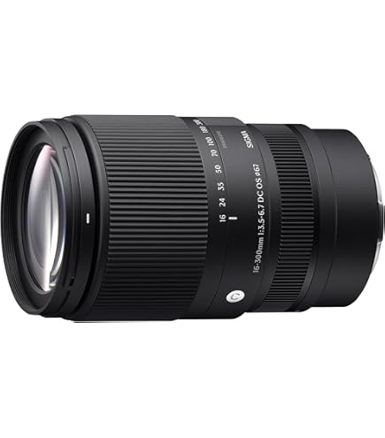 Amazon.co.jp: SIGMA シグマ APO 70-200mm F2.8 EX HSM for Canon