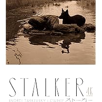 Amazon.co.jp: 戦争と平和 セルゲイ・ボンダルチュク 4Kレストア Blu