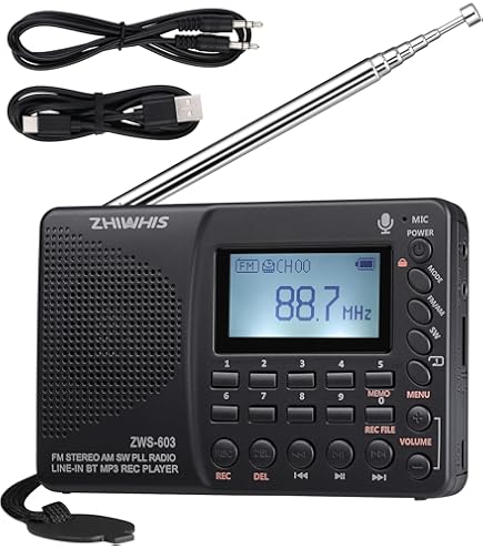 Amazon.co.jp: SONY ポータブルラジオレコーダー 4GB R50 ICZ-R50