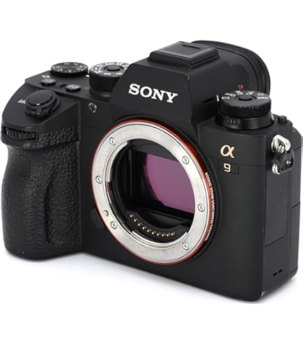 Amazon | SONY ミラーレス一眼 α NEX-5ボディ カラー：シルバー