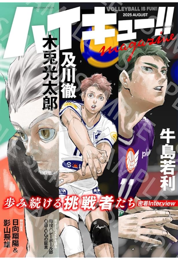 ハイキュー!! 10thクロニクル (愛蔵版コミックス) | 古舘 春一 |本