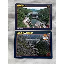 奄美大島 須野ダム 大川ダム ダムカード2枚セット 鹿児島 離島 奄美