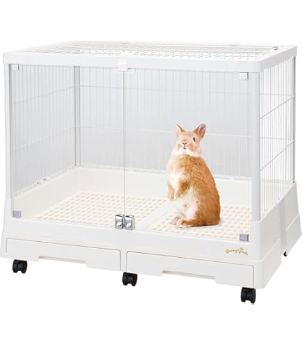 Amazon | □三晃商会 イージーホーム シャイニー 80WH（81×50