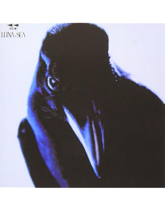 Amazon.co.jp: 10TH ANNIVERSARY GIG NEVER SOLD OUT CAPACITY [DVD