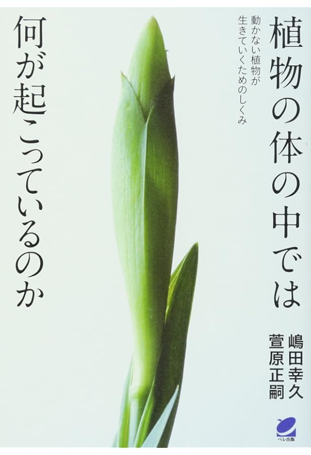 テイツ/ザイガー 植物生理学・発生学 原著第6版 (KS生命科学専門書