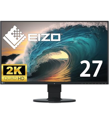 Amazon.co.jp: 【整備済み品】EIZO RadiForce RX440 29.8インチワイド