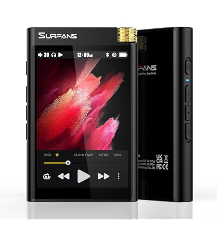 Amazon.co.jp: FiiO M6 ブラック Bluetooth/Wi-Fi/AirPlay/LDAC/aptX