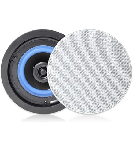 Amazon.co.jp: Panasonic 天井埋め込みスピーカー(12cm) WS-A22 : 家電