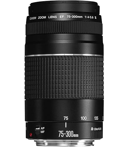 Amazon.co.jp: Canon EF 100-300mm f/4.5-5.6 USM 望遠ズームレンズ