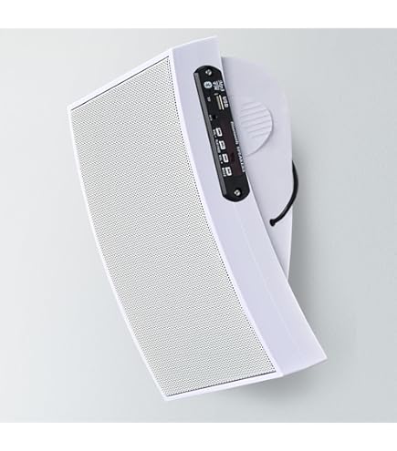 Amazon.co.jp: パナソニック 壁掛けスピーカー 木製タイプ