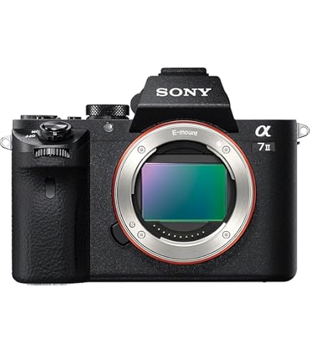 Amazon | SONY ソニー α5000 ボディ ブラック | デジタル一眼レフ 通販