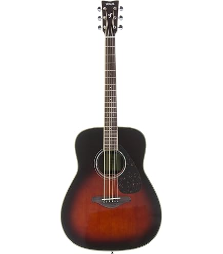 Amazon.co.jp: ヤマハ YAMAHA アコースティックギター FS830TBS : 楽器
