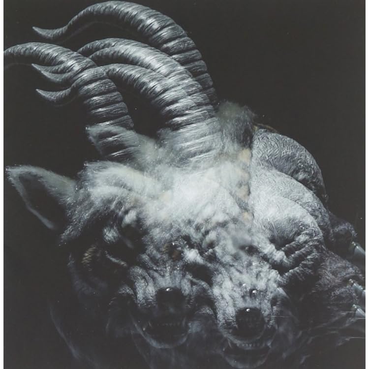 Amazon.co.jp: NINTH(完全生産限定盤)(2DVD付): ミュージック