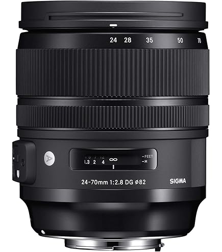 Amazon.co.jp: Canon 標準ズームレンズ EF24-70mm F2.8L USM フル