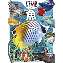 Amazon.co.jp: 学研の図鑑LIVE新版 特典付きギフトボックス3冊セット