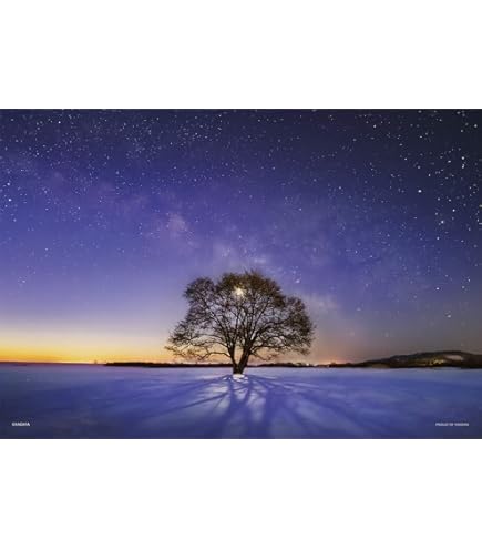 Amazon | 廃盤 KAGAYA かぐや姫 竹取物語より 光る ジグソーパズル