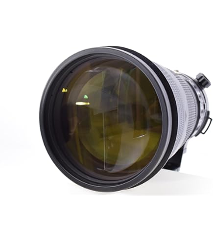 Amazon | AF-S NIKKOR 300mm F2.8D ED | カメラ用交換レンズ 通販